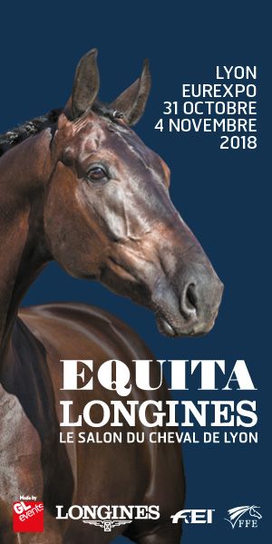 Anuncios Venta De Caballos, Caballos En Venta | Equirodi España